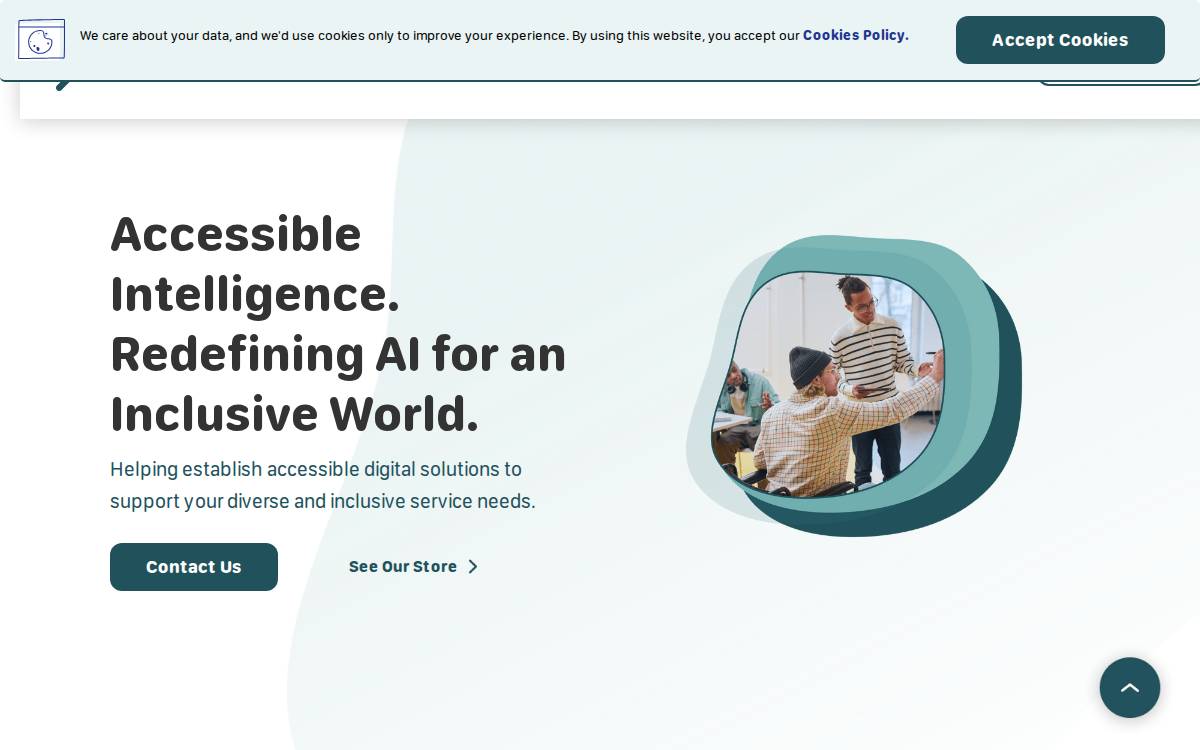 Magnify Access Website website preview