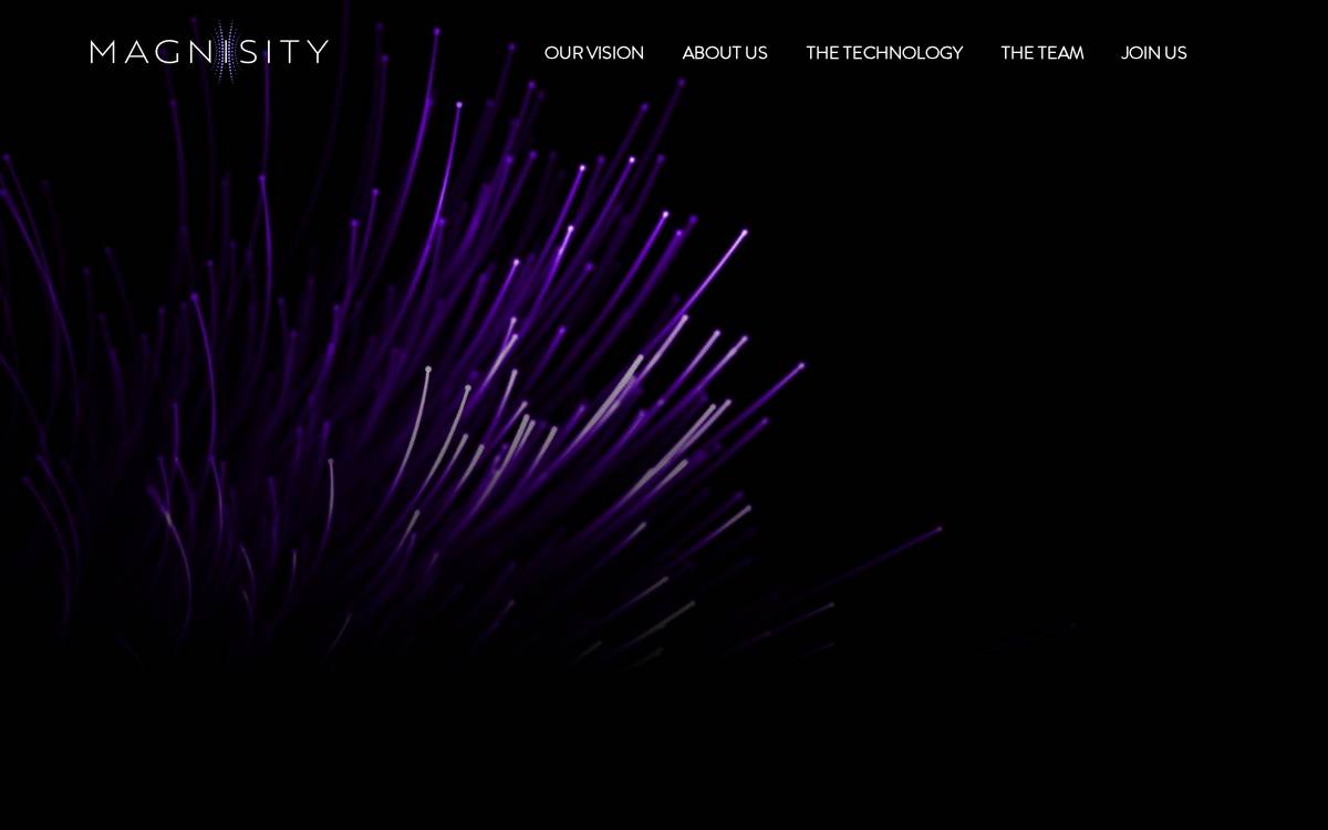 Magnisity website preview