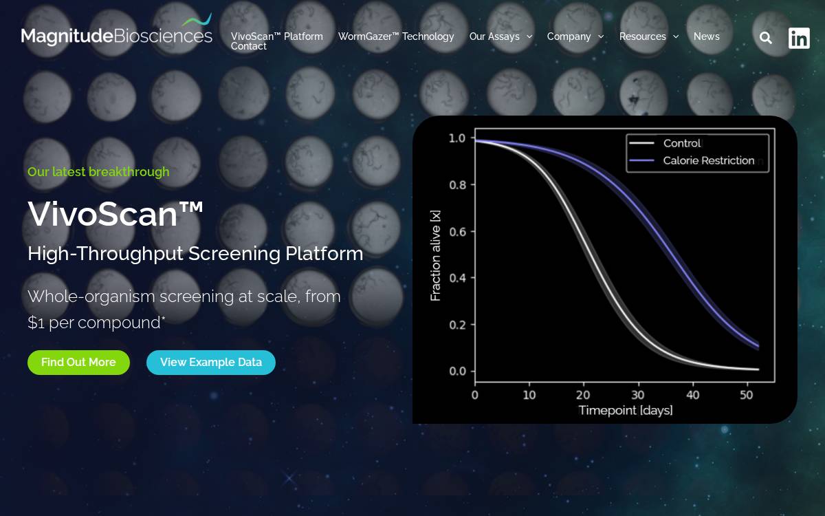 Magnitude Biosciences website preview
