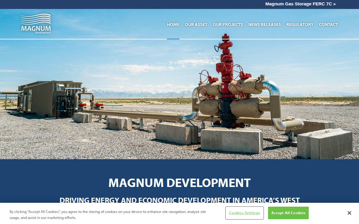 Magnum Development website preview