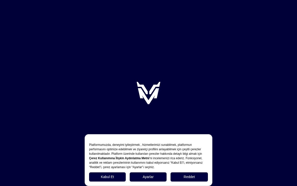 Magnus website preview