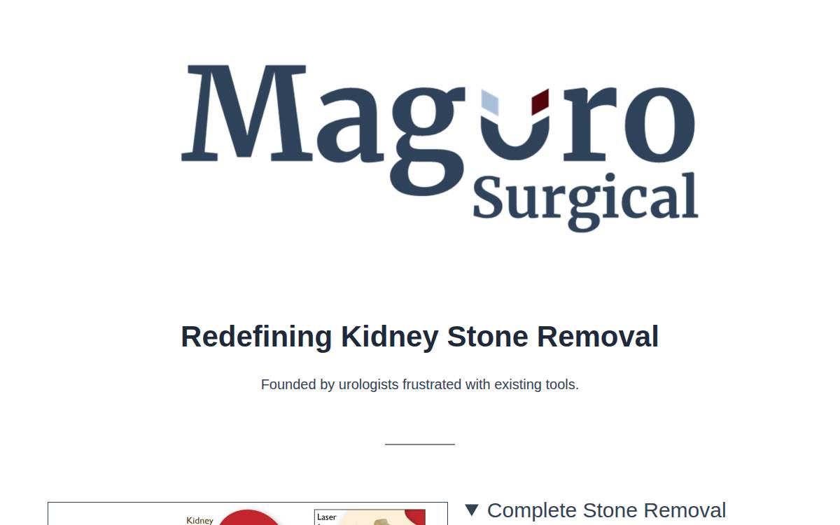 Magurosurgical website preview