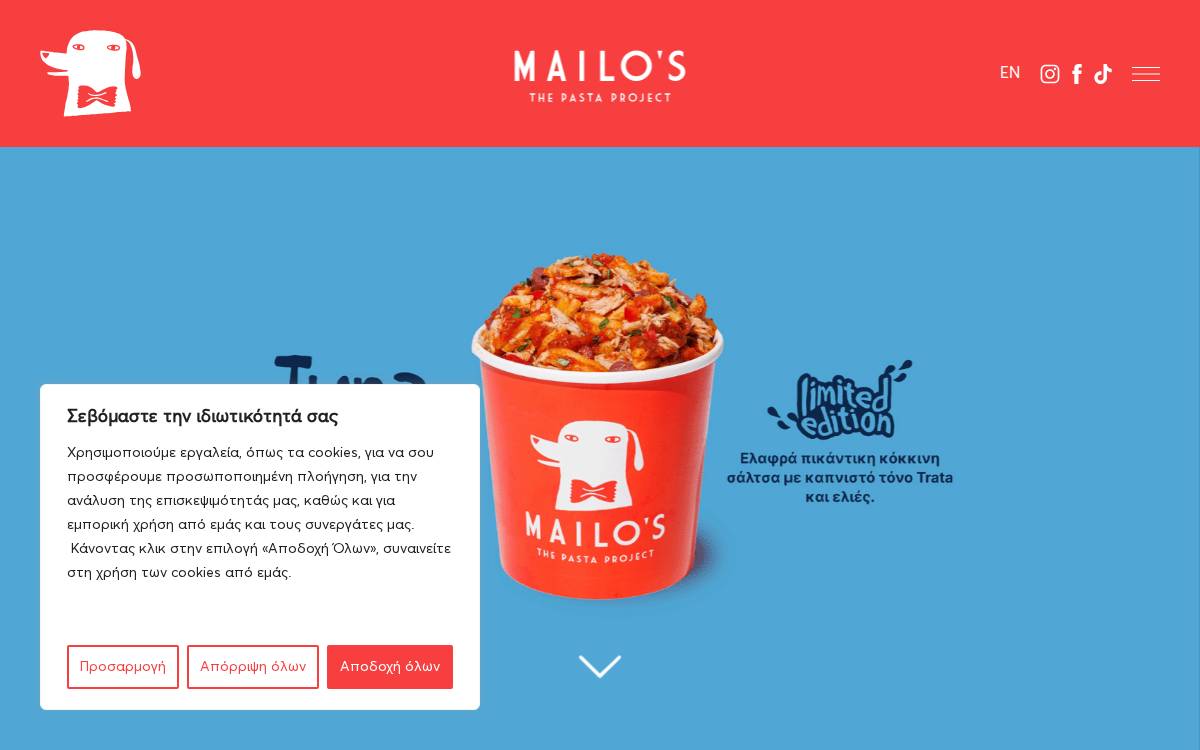 Mailo's website preview