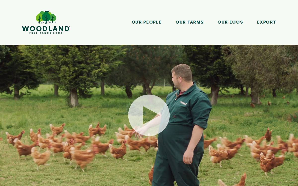 Mainland Poultry website preview