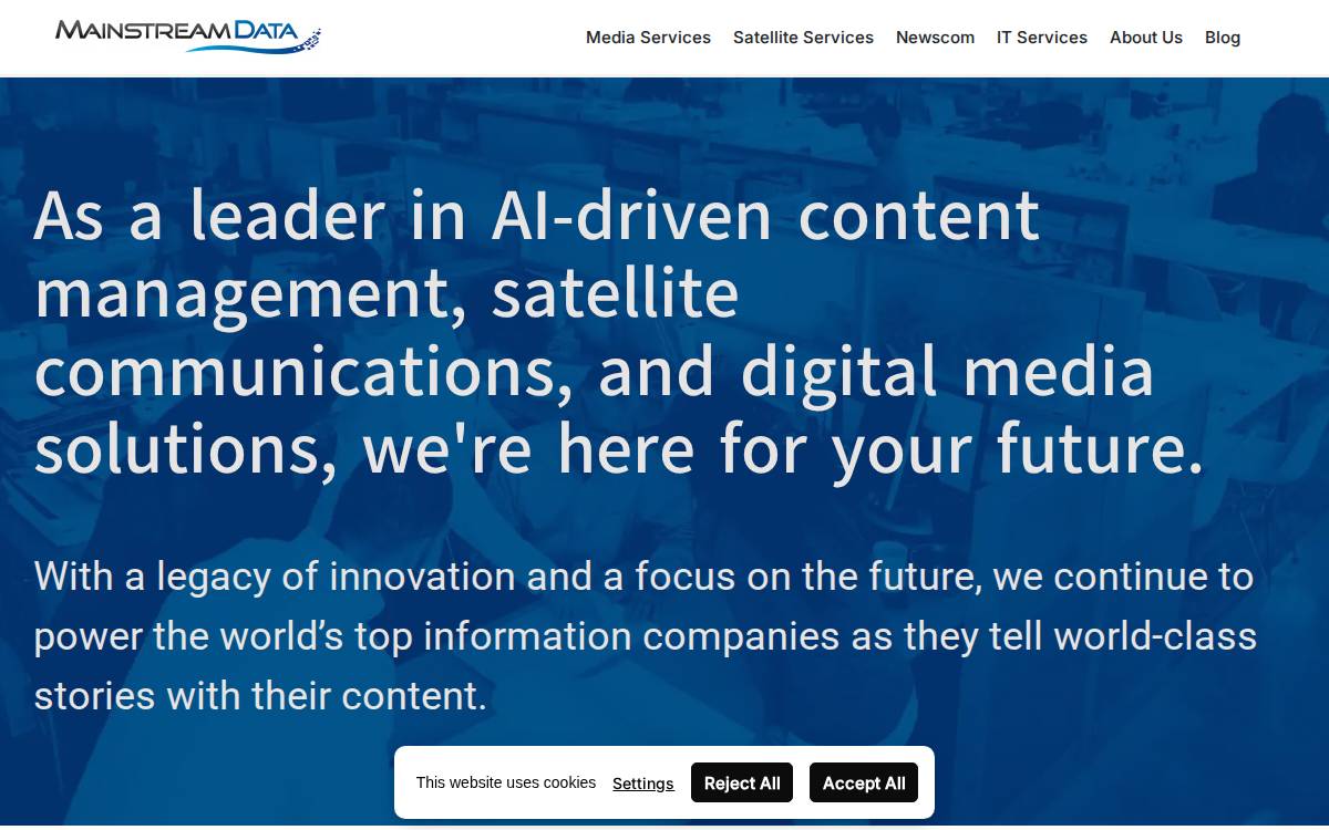 Mainstream Data website preview