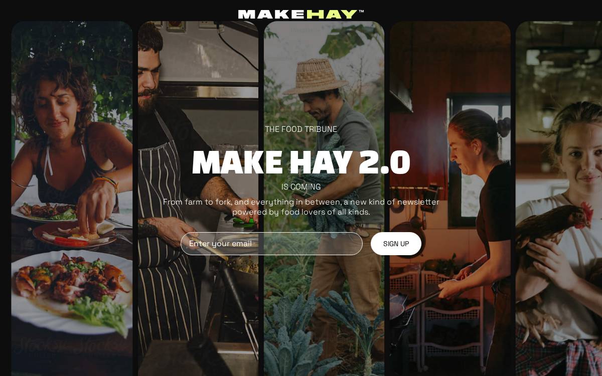 Make Hay website preview