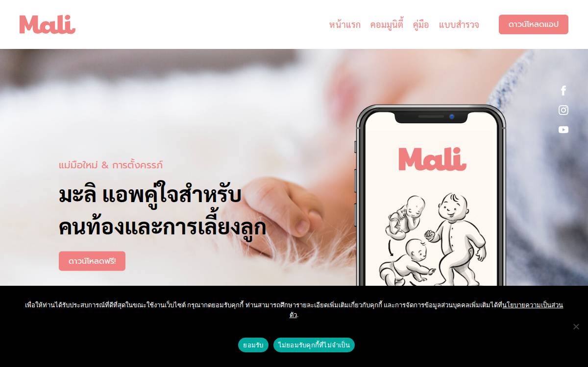 Mali website preview