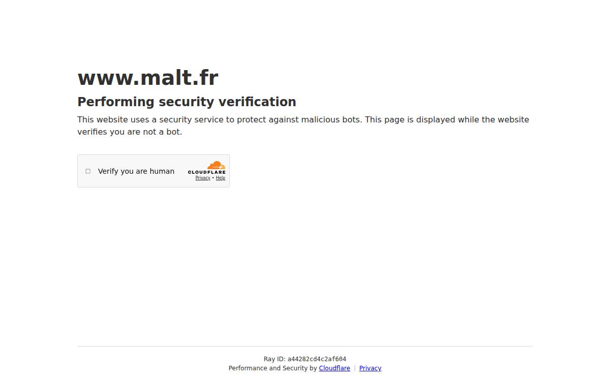 Malt website preview