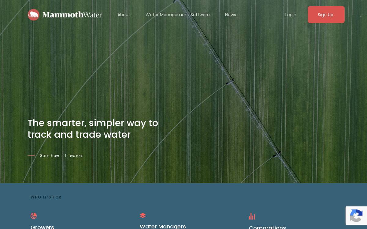 Mammoth Water website preview