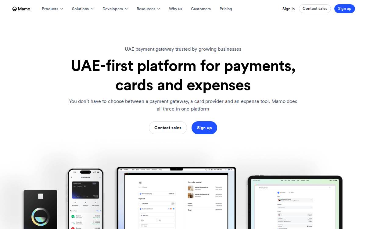 Mamo Pay website preview