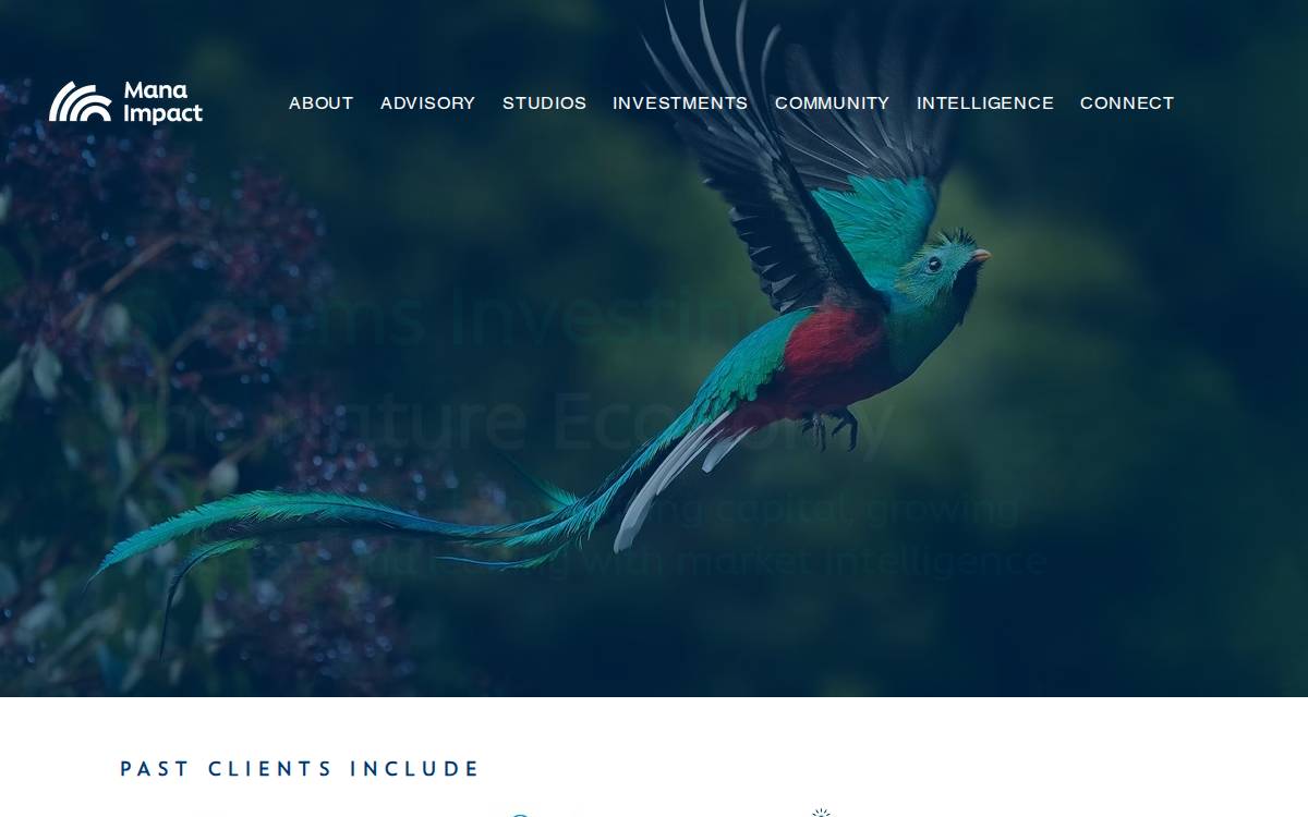 Mana Ventures website preview