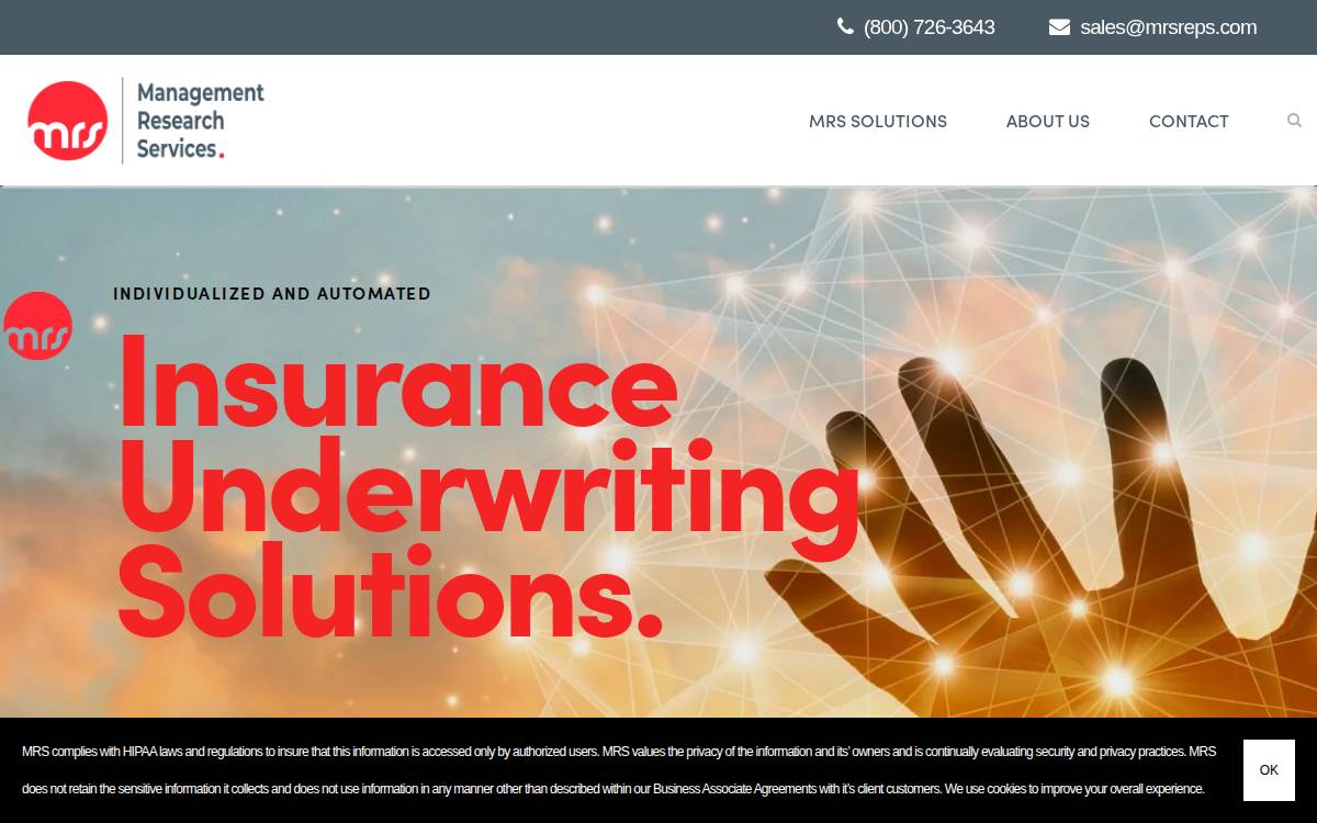 Management Research Services website preview