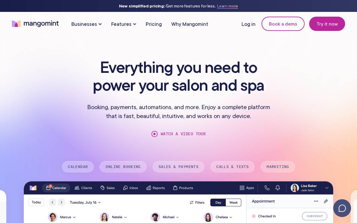 Mangomint website preview