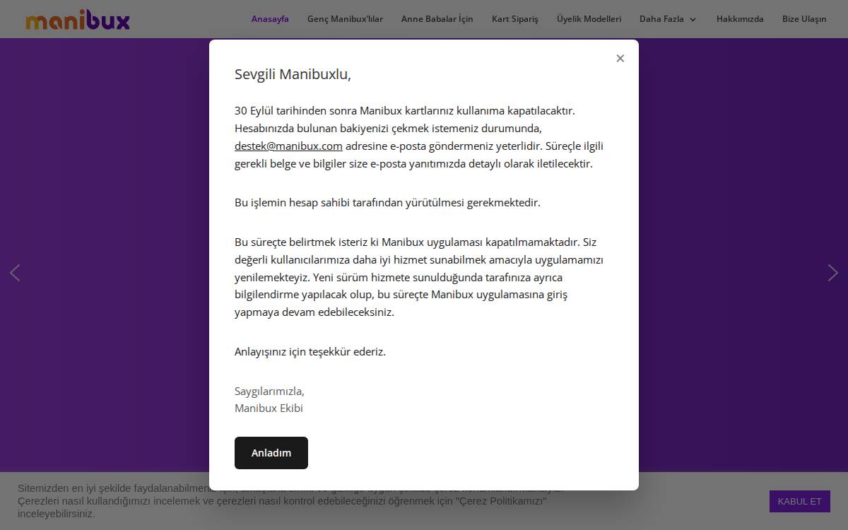 Manibux website preview