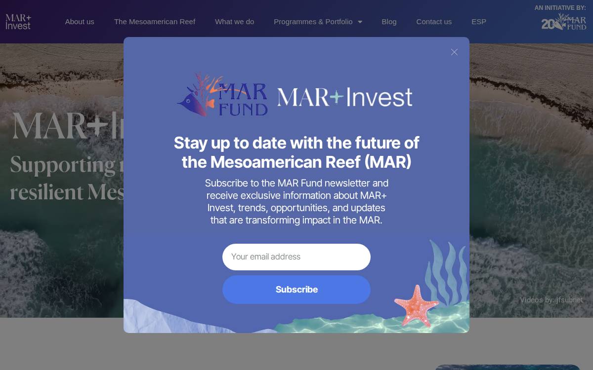 Mar Invest website preview