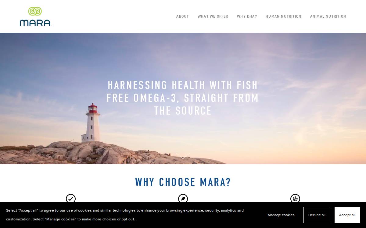 Maracorp website preview