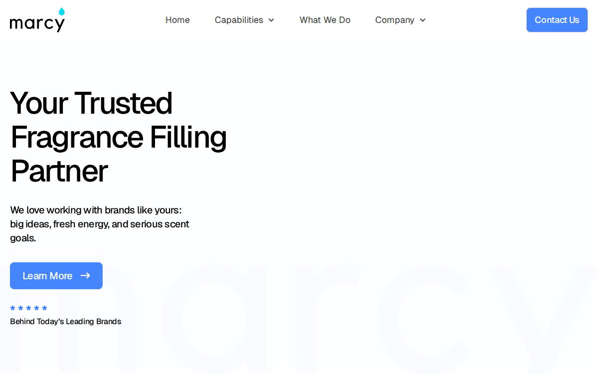 Marcy Laboratories website preview