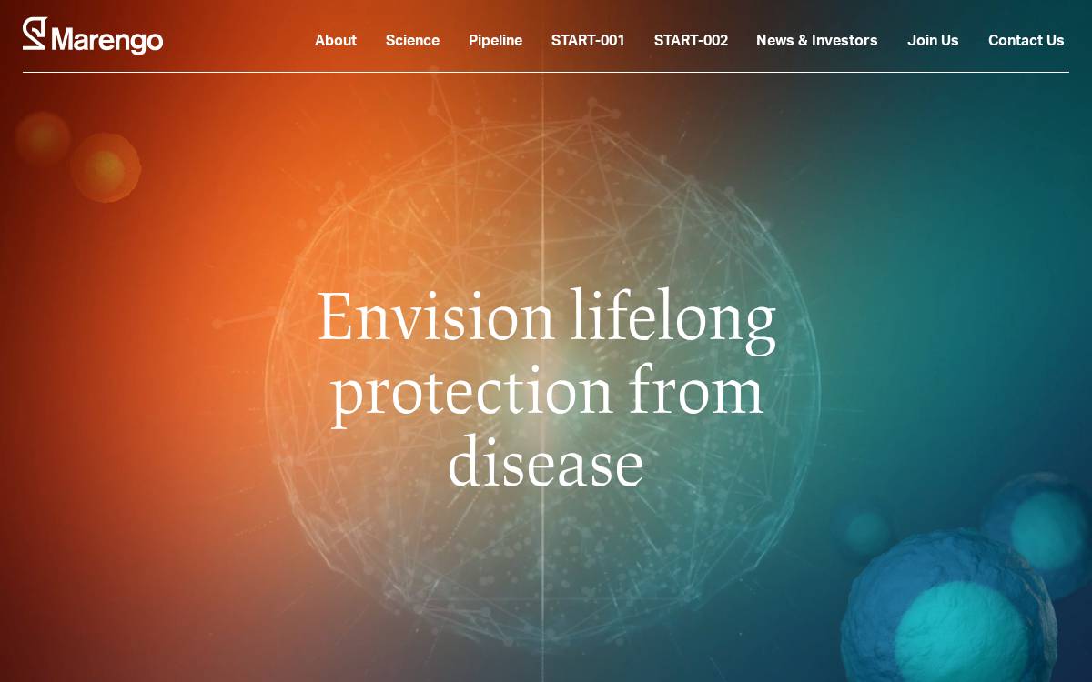 Marengo Therapeutics website preview