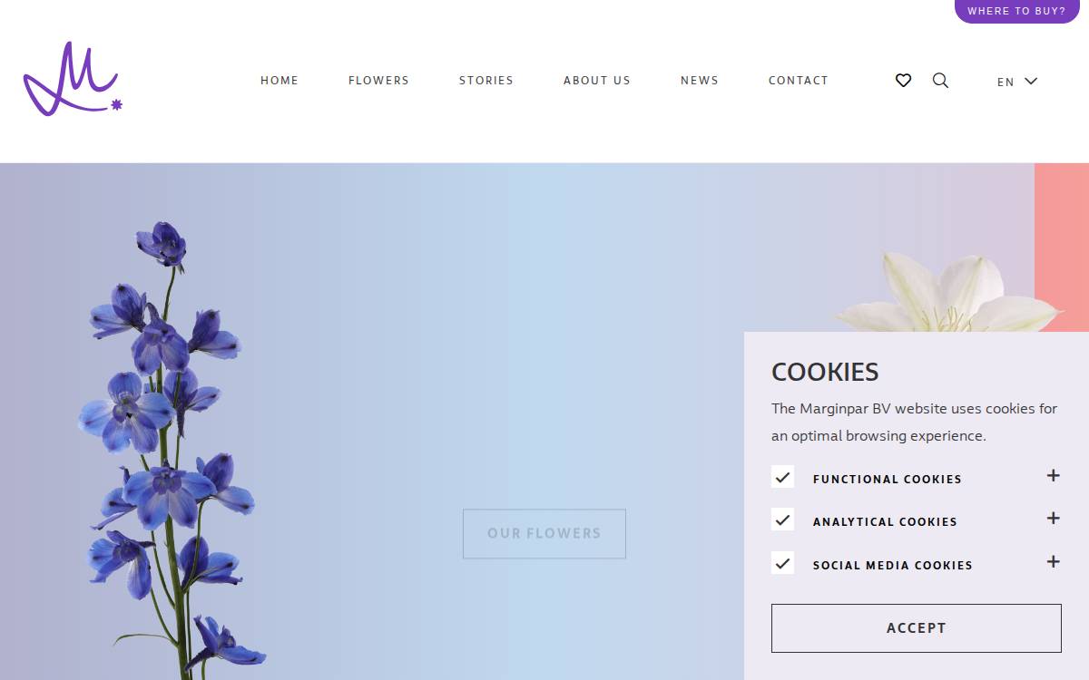 Marginpar website preview