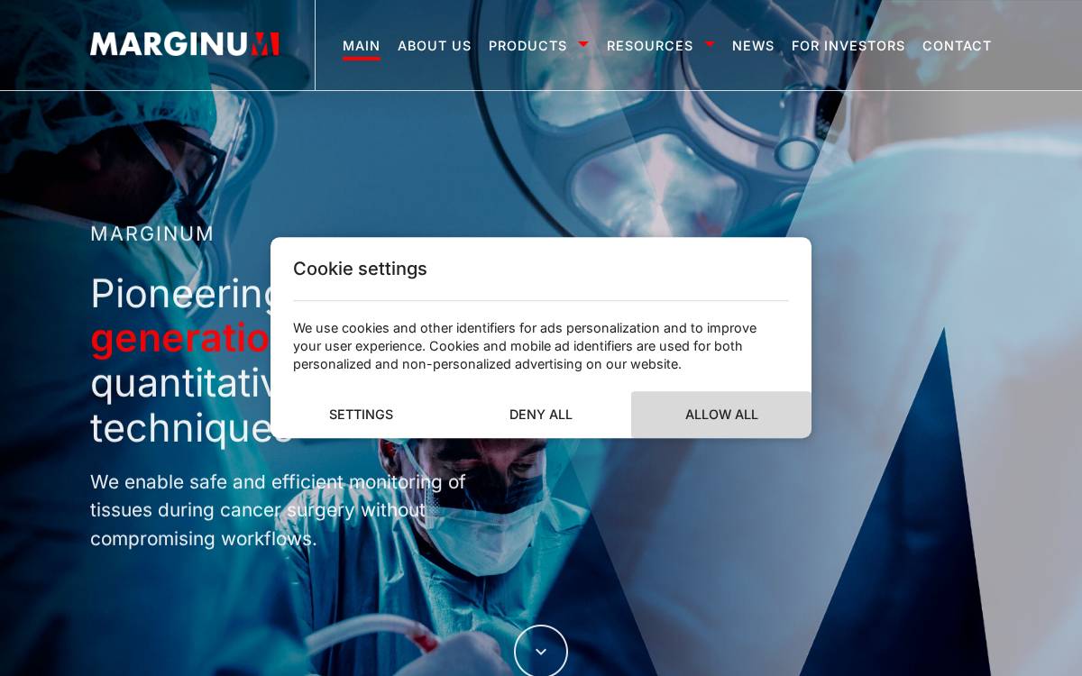 Marginum website preview
