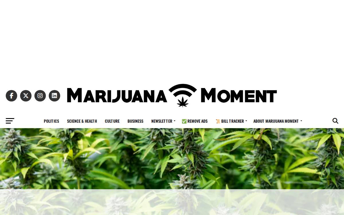 Marijuanamoment website preview