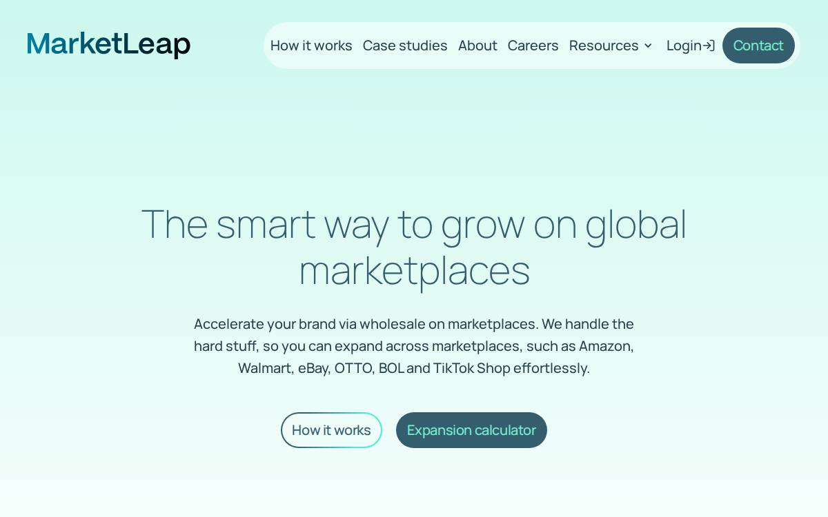 MarketLeap website preview