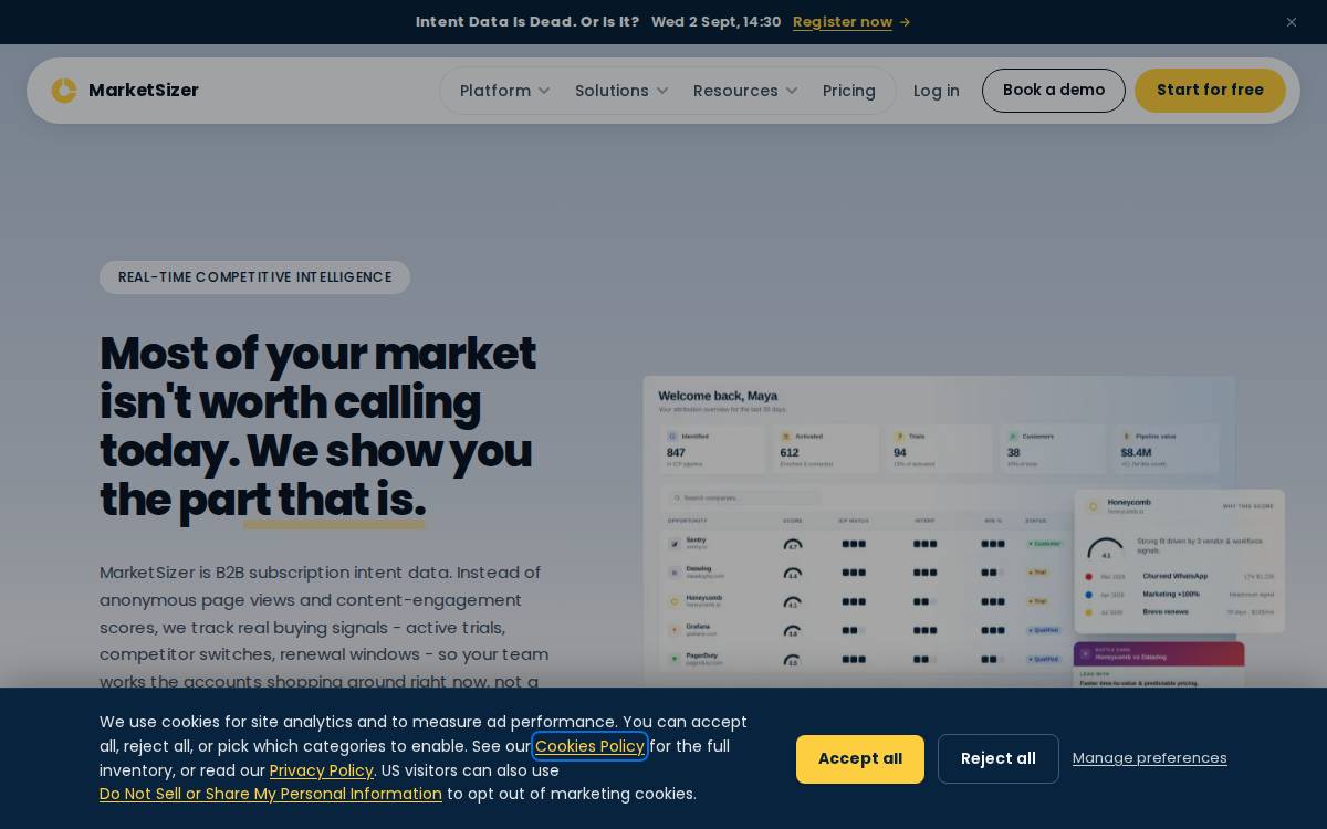 Marketsizer website preview