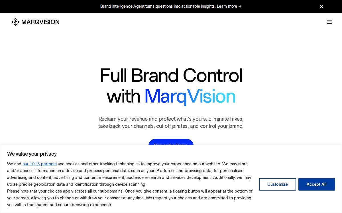 MarqVision website preview
