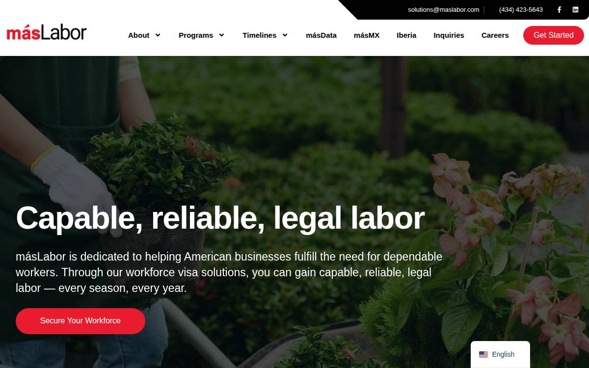 Mas Labor website preview