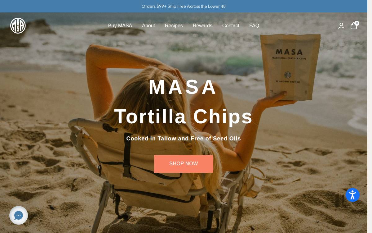 Masachips website preview