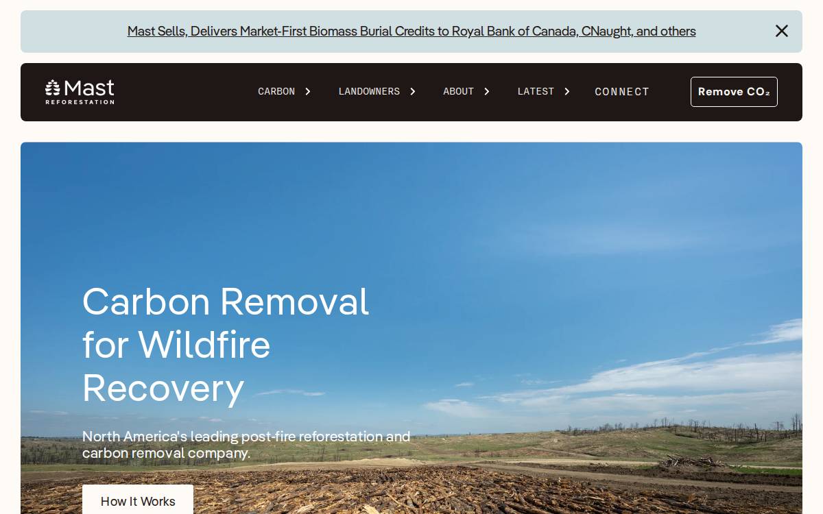 Mast Reforestation website preview