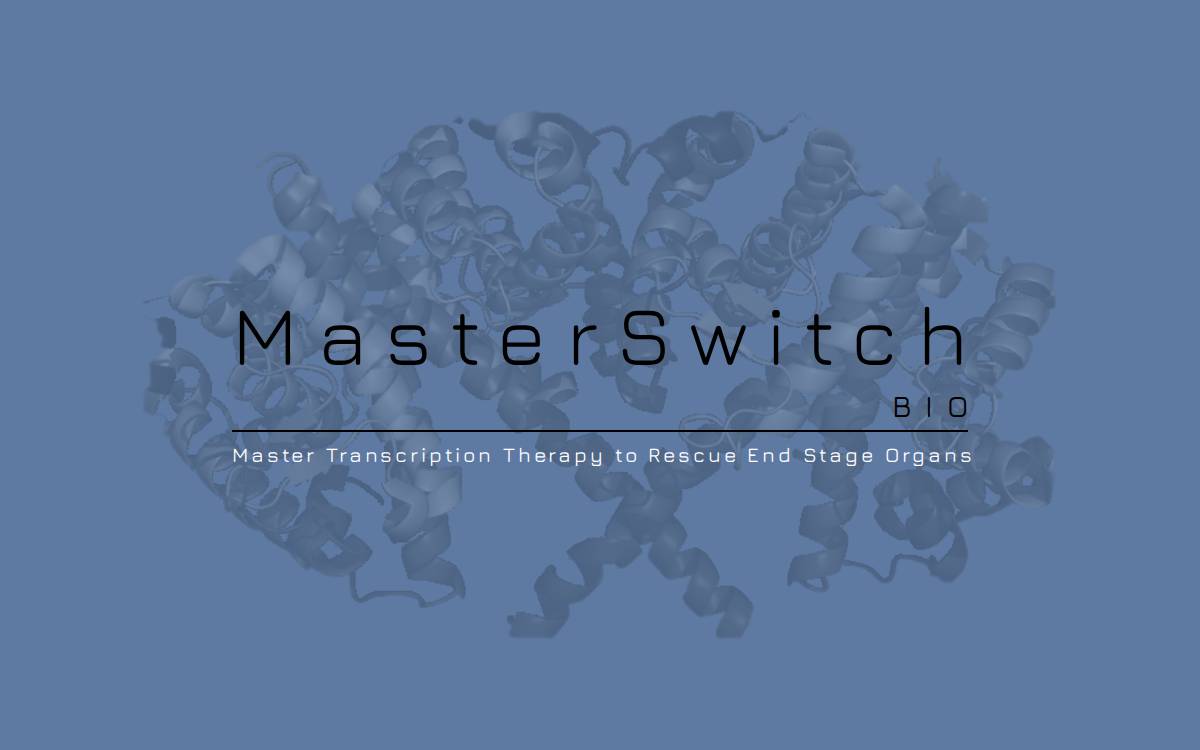 MasterSwitch Bio website preview