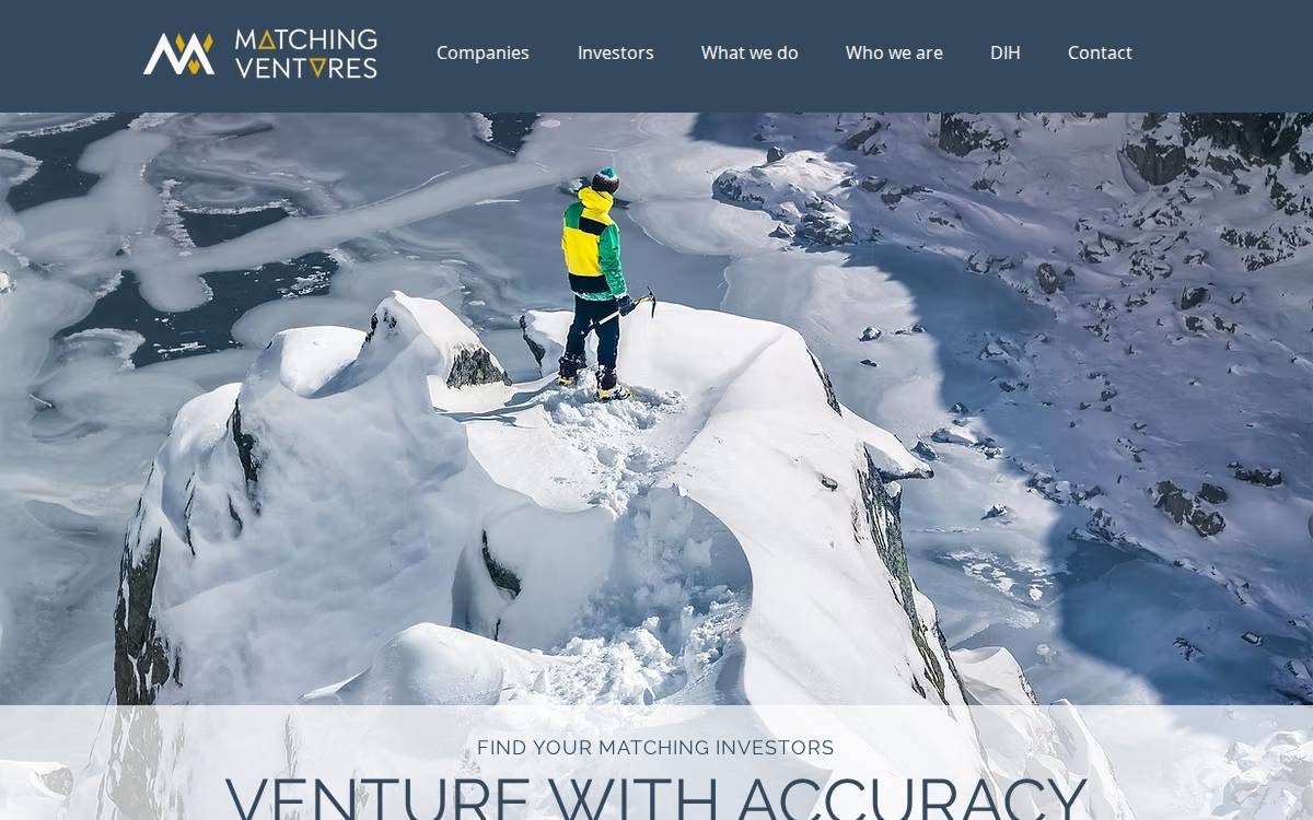 Matching Ventures website preview