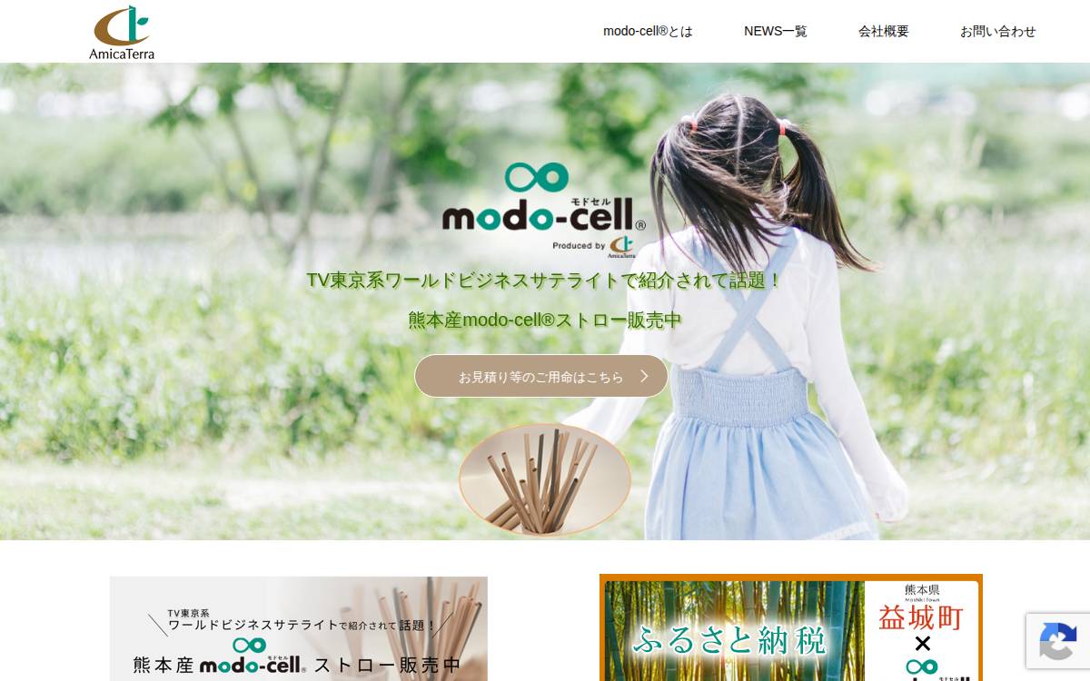 アミカテラ website preview