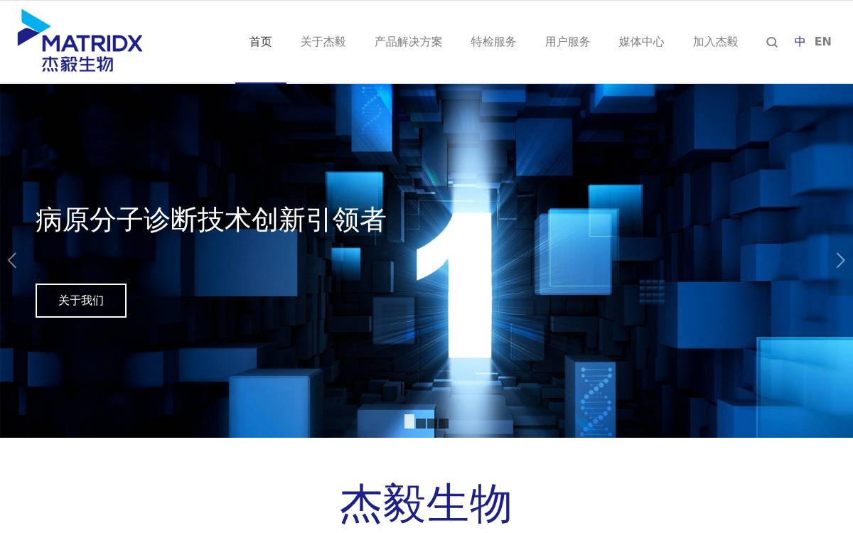 Matridx website preview