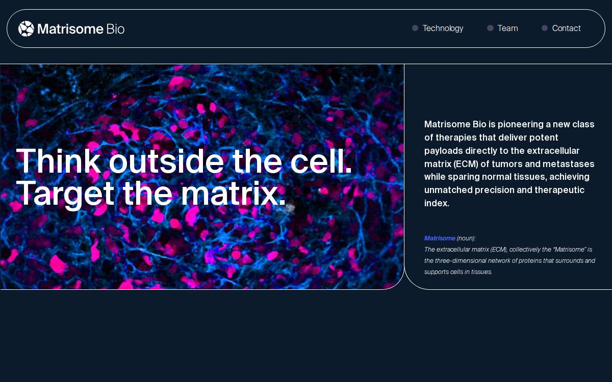 Matrisome Bio website preview