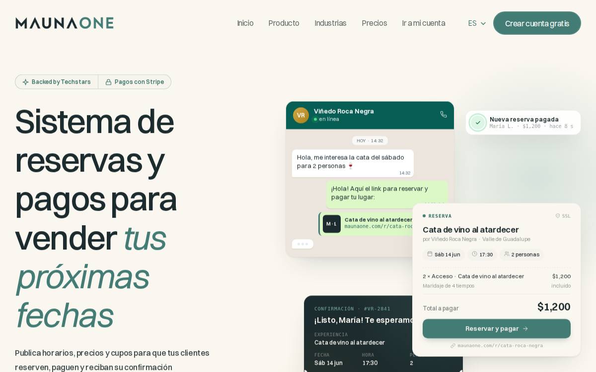 Mauna website preview