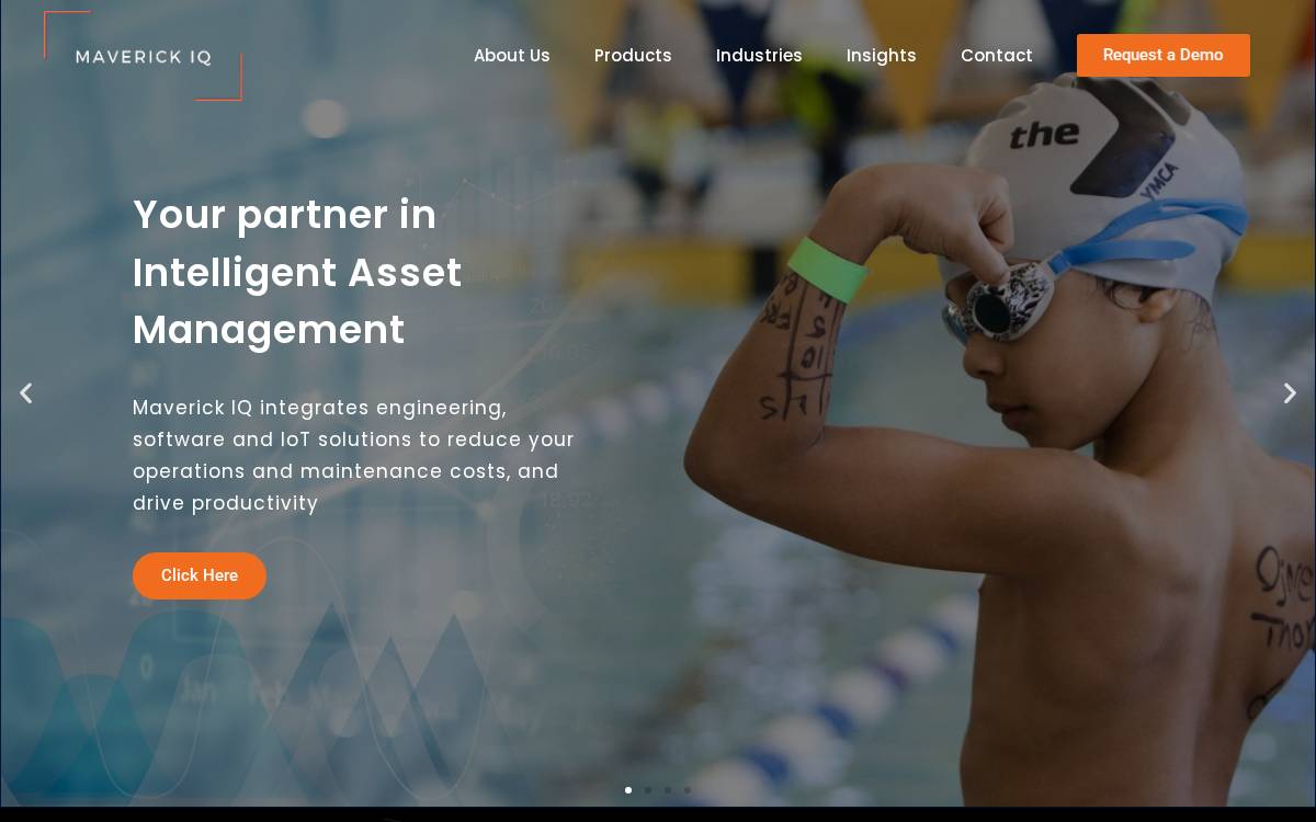 Maverick IQ website preview