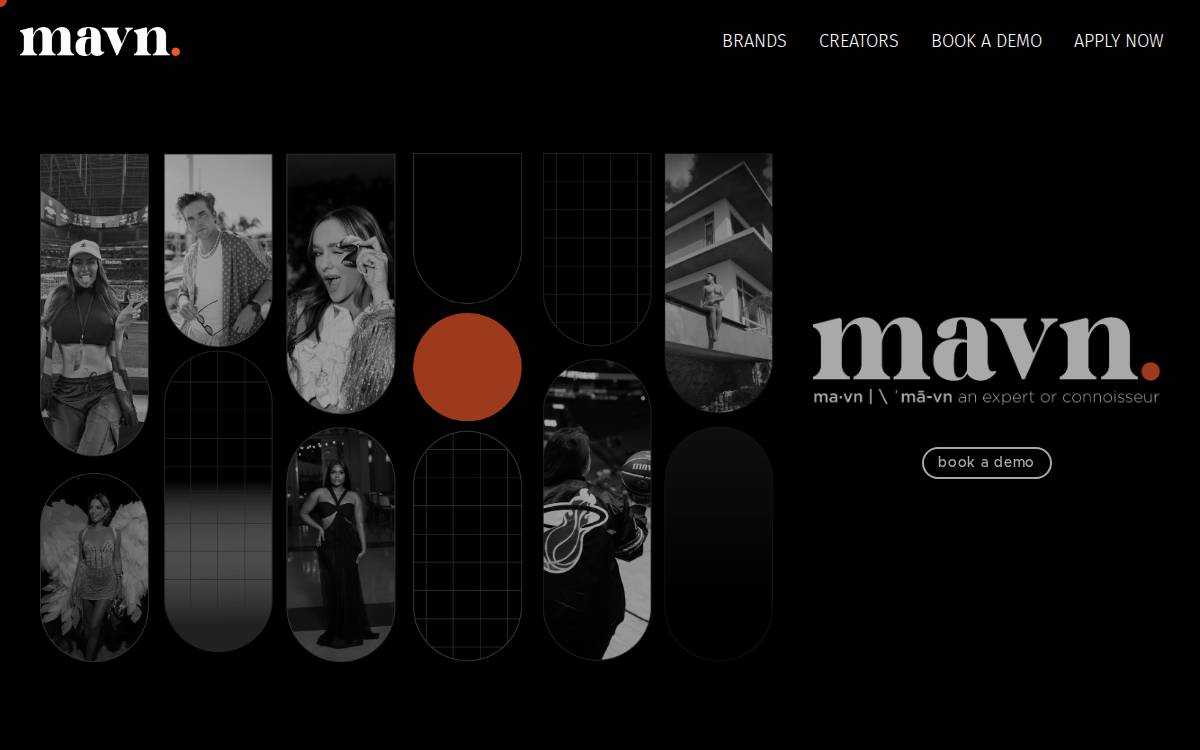 Mavn website preview