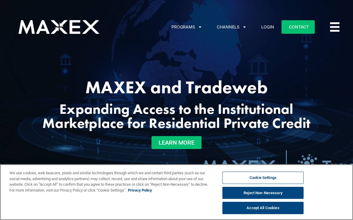 Maxex website preview