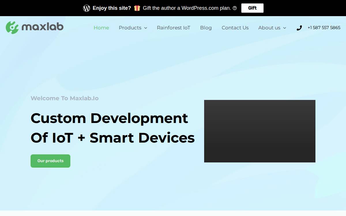Maxlab website preview