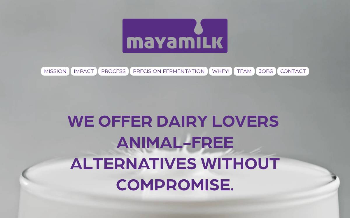 Maya milk website preview