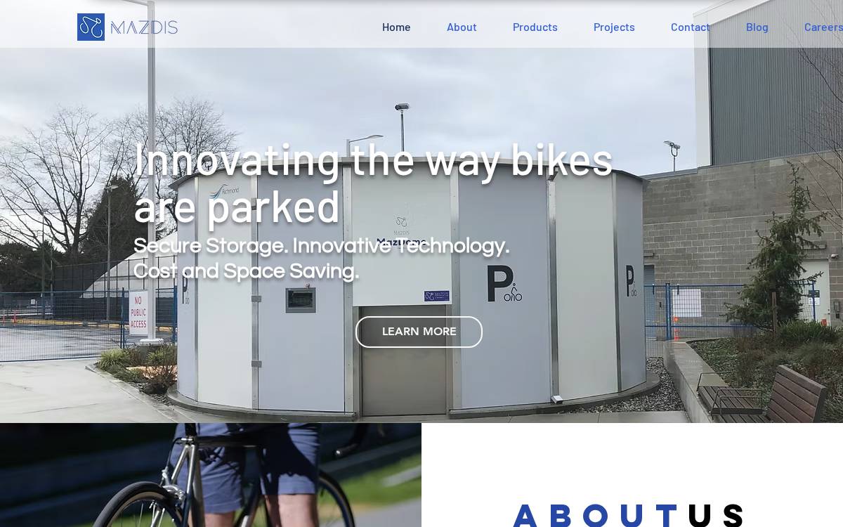 Mazdis website preview