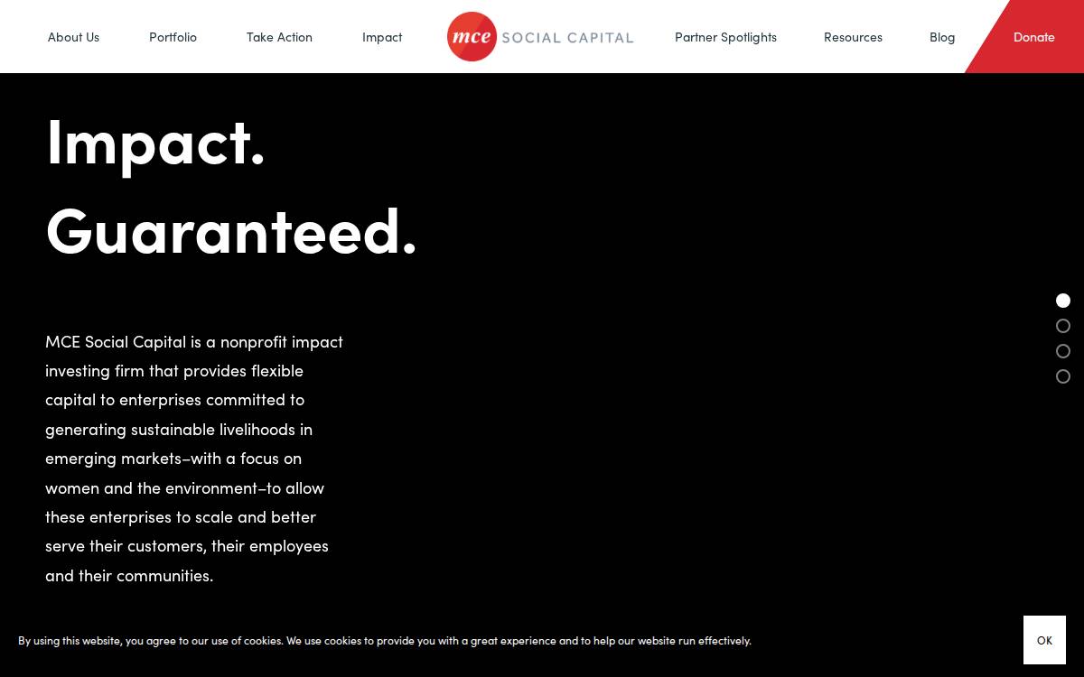 MCE Social Capital website preview