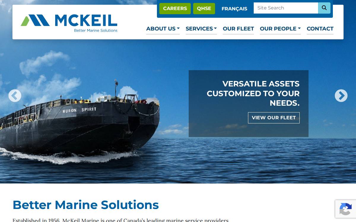 McKeil website preview