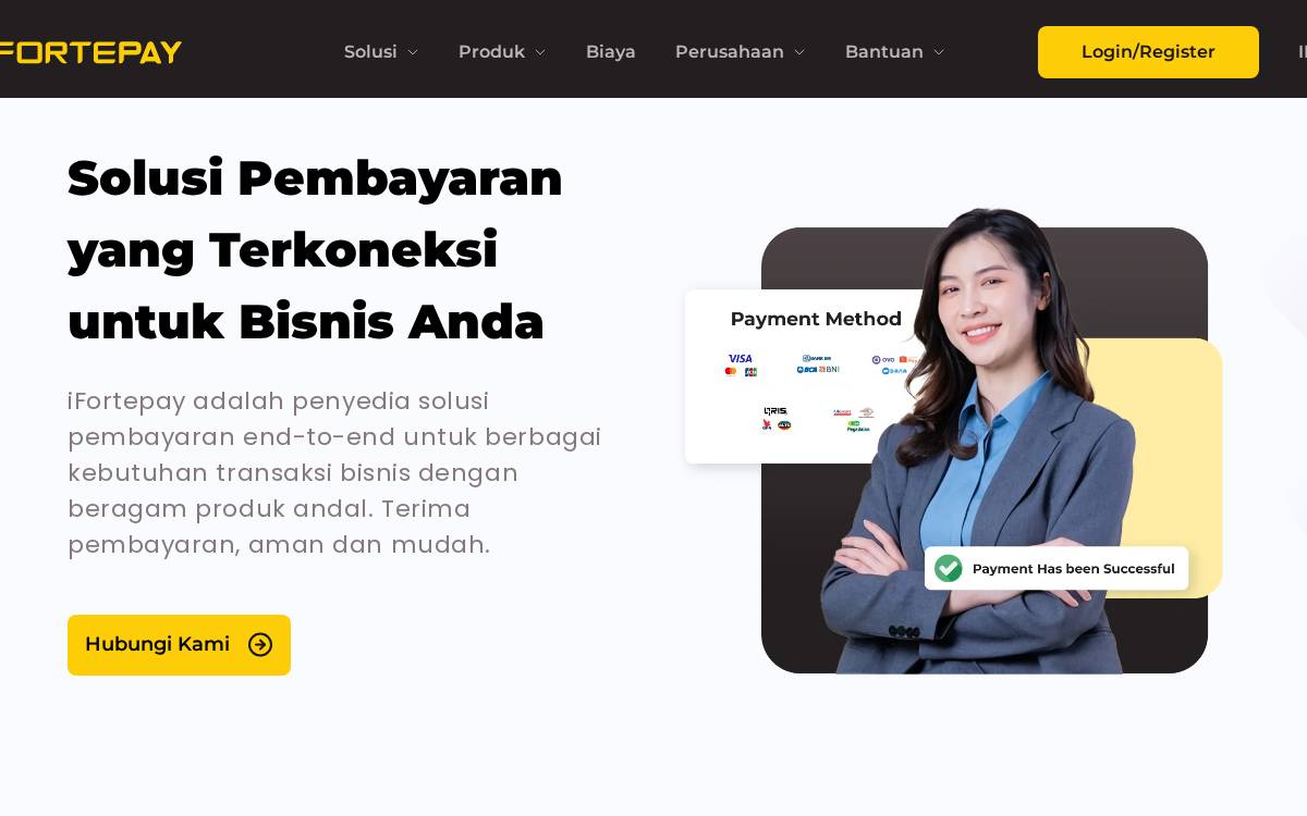 Mcpayment website preview