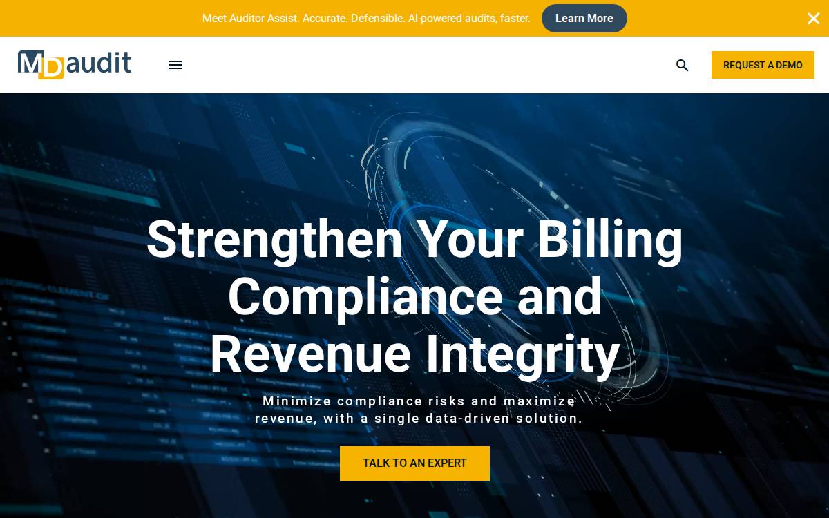 MDaudit website preview