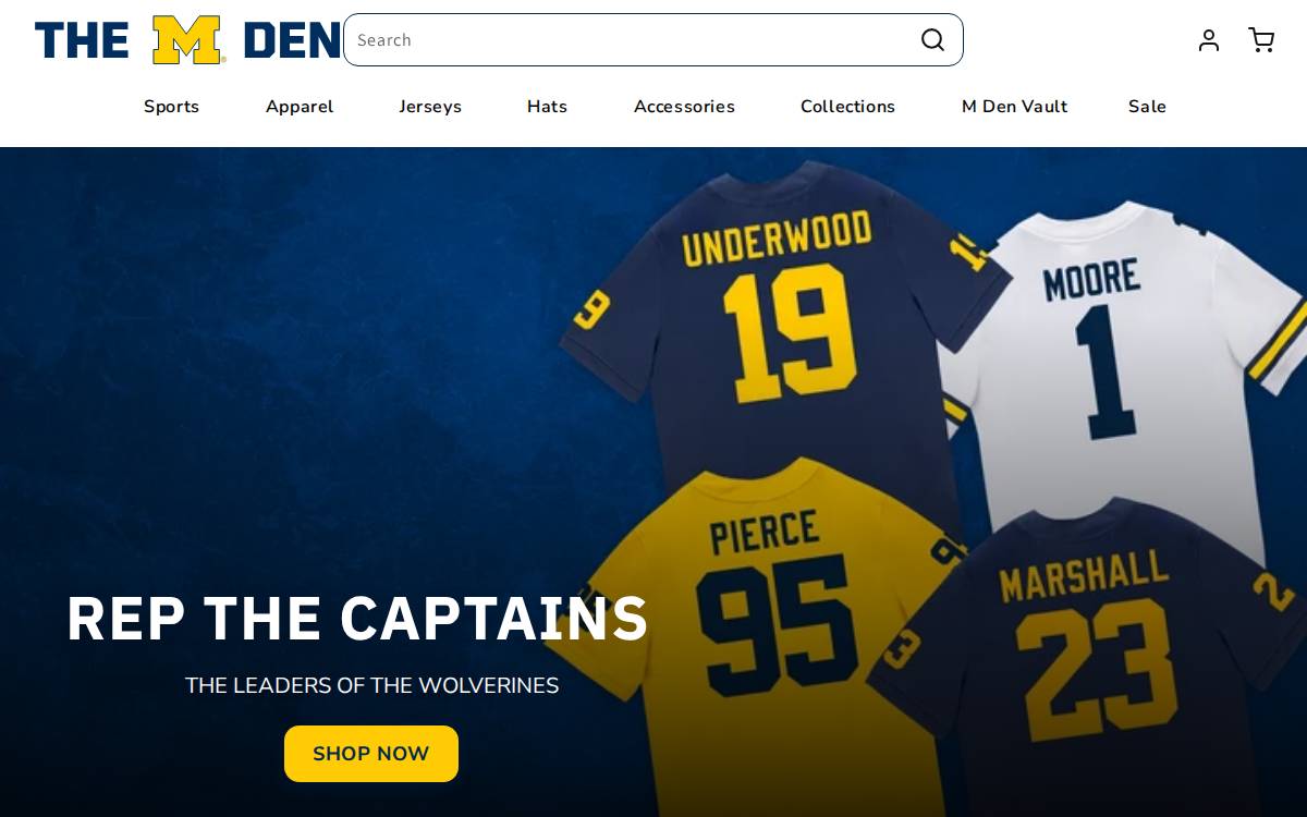 Mden website preview