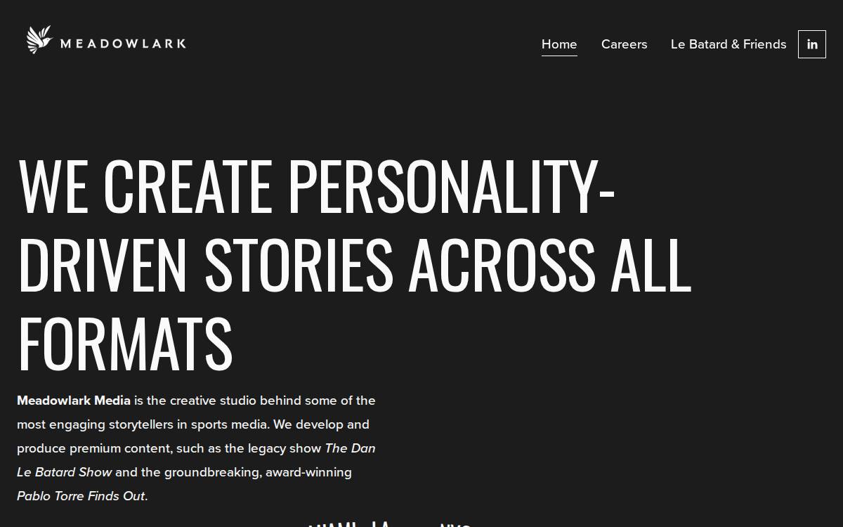 Meadowlark Media website preview