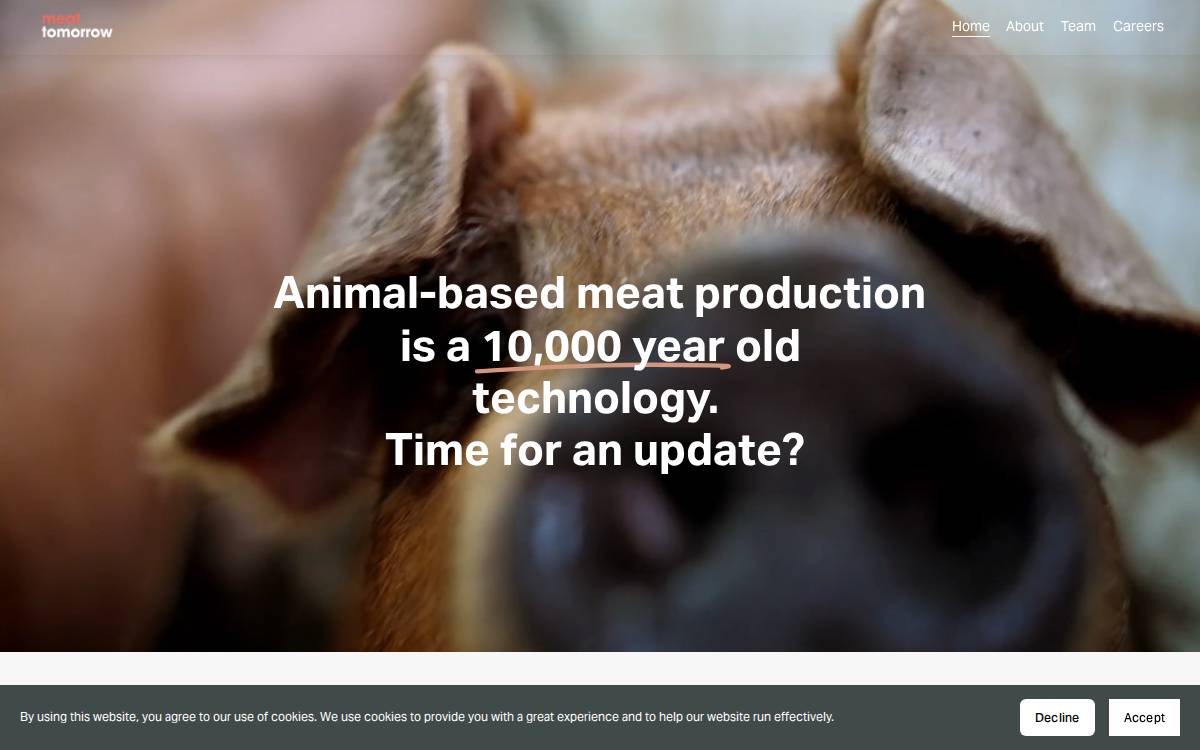 Meat Tomorrow website preview